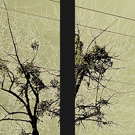 René Kanzler: Industrial Peace